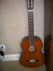 Acoustic guitar