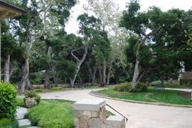 BEAUTIFUL PARK SETTING WITH MORE TREE THAN YOU CAN COUNT...