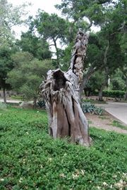 ANCIENT TREE TRUNK HAND CARVED...  TO OWN THIS YOU HAVE TO BUY THE PROPERTY.  