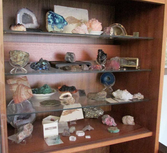 Collection Minerals Fossils Gemstone