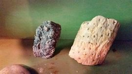 Stigmaria, sandstone and quartz