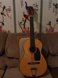 acoustic guitar