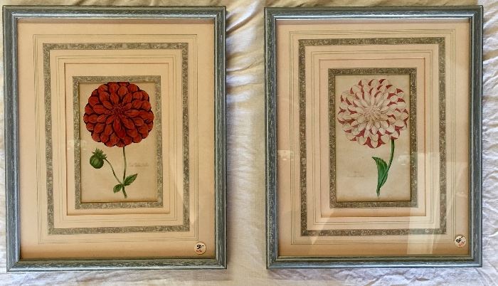 $60 each. Framed 19th Century English colored botanical engravings.  14.25" x 17.25". 