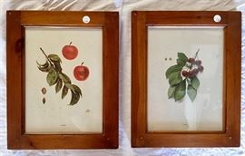 $10 each.. Vintage framed fruit prints. 12" x 15".