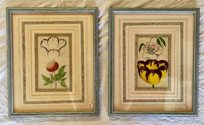 $60 each. Framed 19th Century English colored botanical engravings.  14.25" x 17.25".  