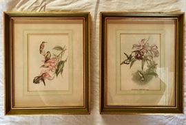 $10 each. Framed hummingbird prints, 9" x 11".