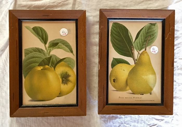 $40 each. French colored fruit lithographs, circa 1860, 7.25" x 10.5". 