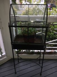 Edwardian Terrarium