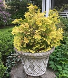 Smaller planters for patio