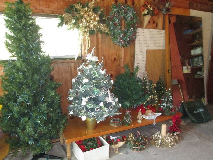 Christmas trees galore!