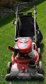 Craftsman 24” W Yard Vac.