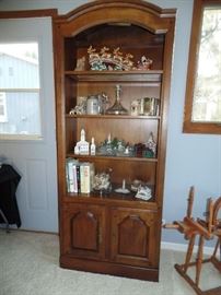 Great Book Case or Display case