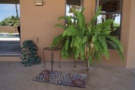 plants, doormat, hose