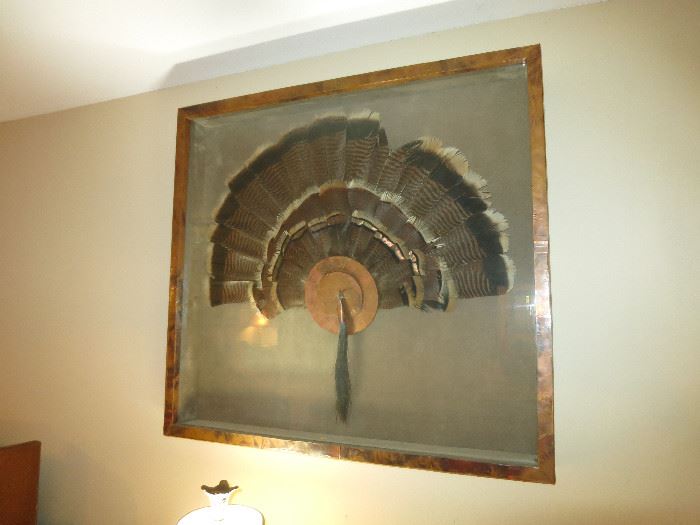Turkey Feather Mount
