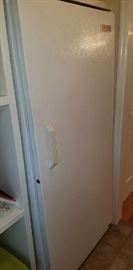 Frigidaire Frost Free Commercial Freezer