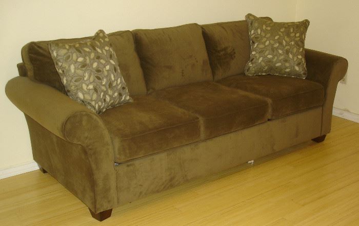 Weir's sleeper sofa
