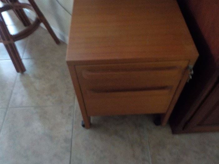 ROLLING FILE CABINET