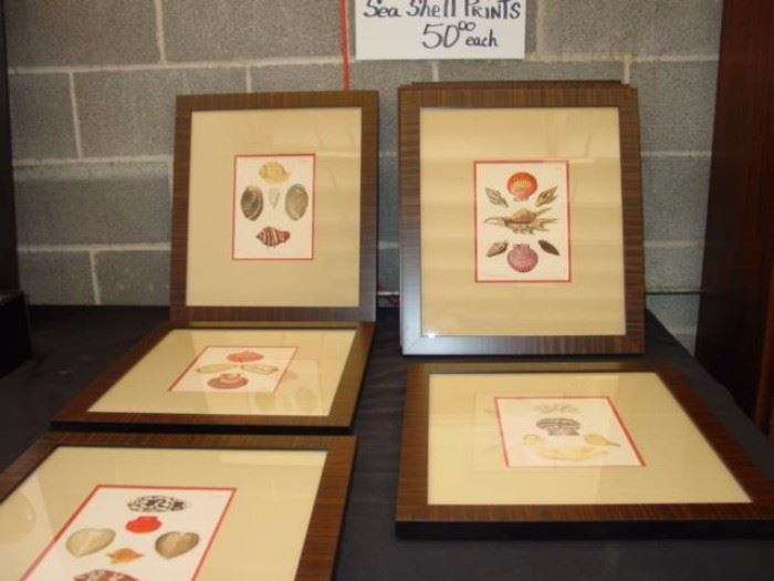 Decorative Sea Shell Prints from Pettigrew