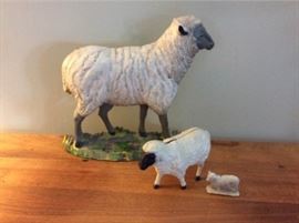 032 A Little Sheepish