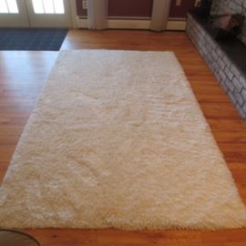 Rugs to choose from