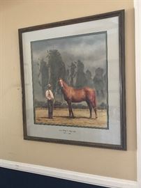 Framed print: Man 'O War, 1917-1947