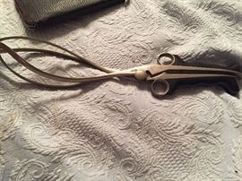Big forceps! 