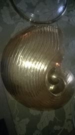 Nautilus wall shell Brass finish 