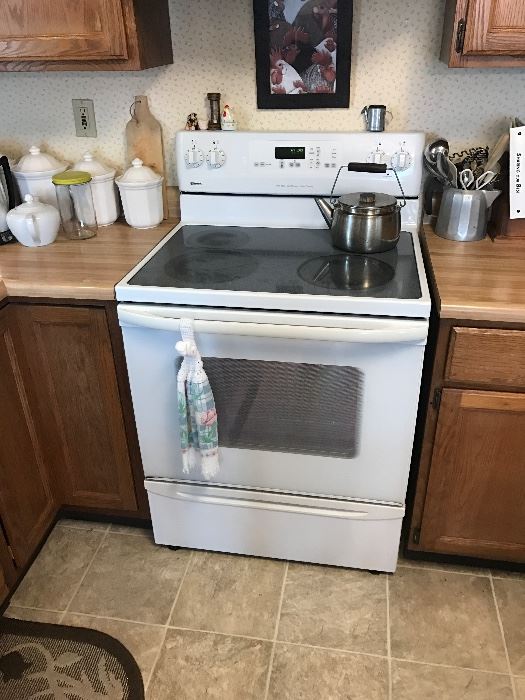 Newer electric stove