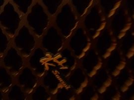 Here is a close up of the speakers, what great sound they have!