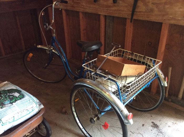 Adult three wheel bike. 
