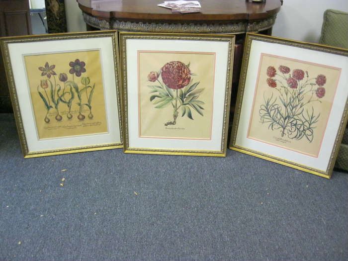 several botanical framed prints