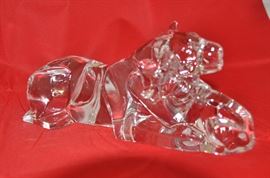 Stunning Baccarat Lioness and her cub!