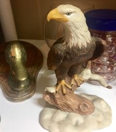 Eagles and ducks