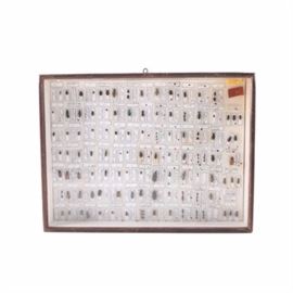 Framed Entomology Collection: A framed Entomology collection. This entomology collection features a variety of pinned beets over their corresponding classification label with date. The collection is presented beneath glass and encompassed by a brown wood frame.