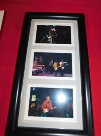 Tom Petty framed concert pictures