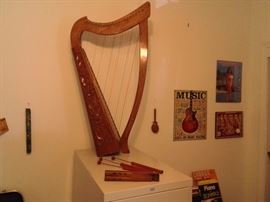 22 string harp