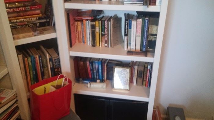 Bookcases and more books