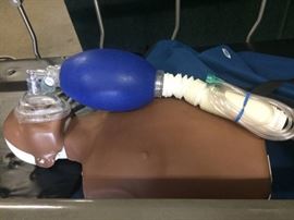 Laerdal Little Anne Resuscitation Training CPR Manikin
