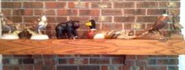 Misc Wildlife items