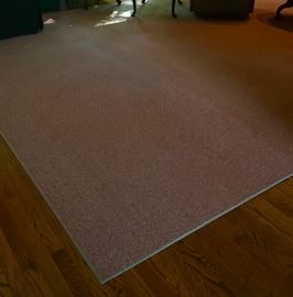 Large 13x11'9 matching carpet