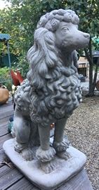 The Proud Protector Poodle