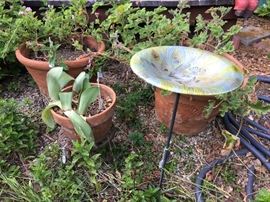 Garden pots and accessories to attract nature