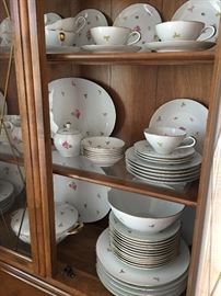 Johann Haviland Bavarian china