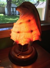 Conk shell lamp