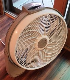 Fan
