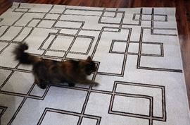 8’ x 10’ Area Rug (Cat NOT Included)