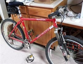 Rock Hopper Specialized Bike