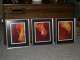 Ron Evans (Antelope Canyon Beauty, Antelope Canyon Tranquility, Edge of light)