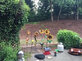 Sunflowers everywhere.., and frogs....I'm skeptical of frogs.