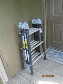 Folding ladder